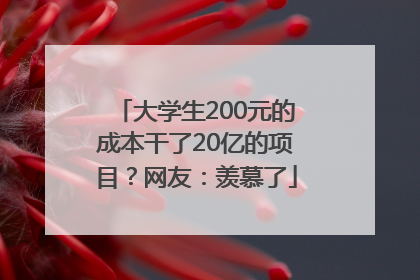 大学生200元的成本干了20亿的项目？网友：羡慕了